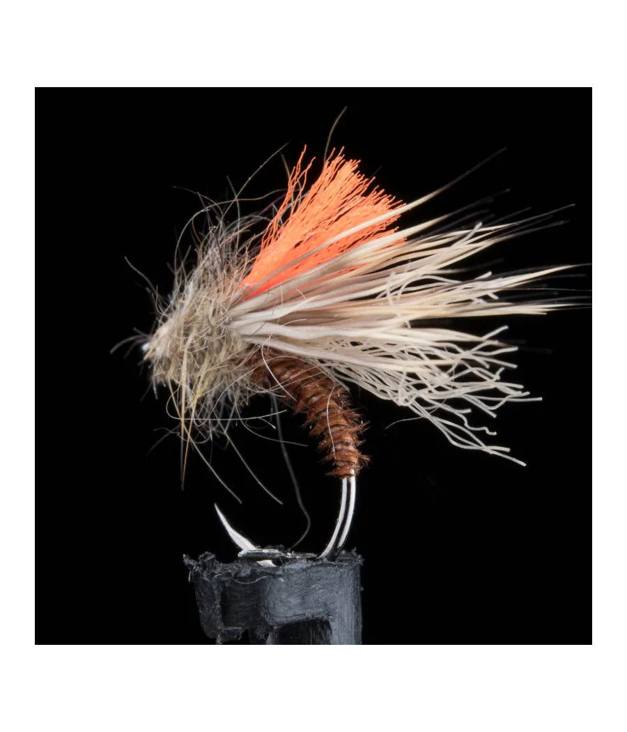 Sedge Cerf Condor Rusty Brun