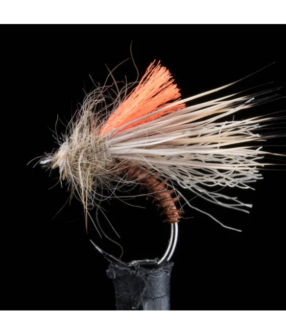 Sedge Cerf Condor Rusty Brun