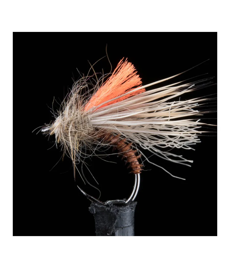 Tricóptero de Ciervo Condor Rusty Brown