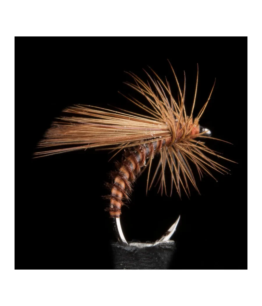 Seddge Condor Rusty Brown By Riversfly