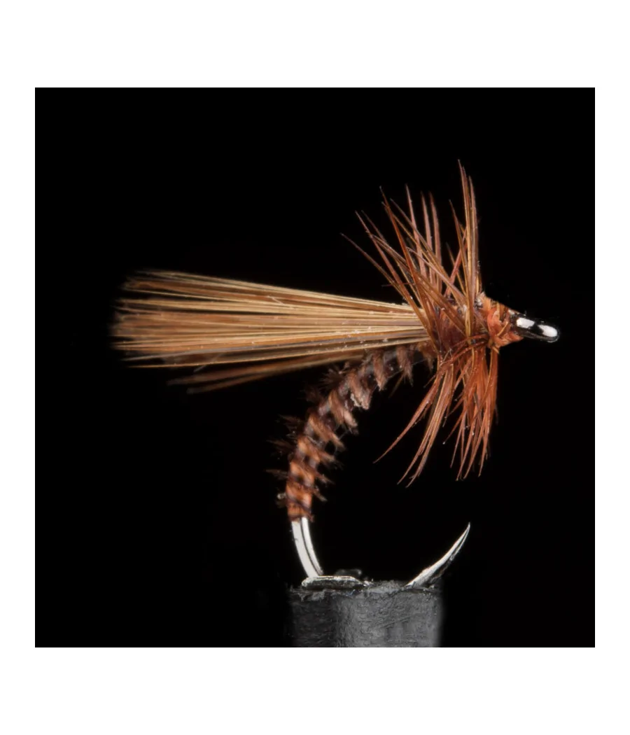 Seddge Condor Rusty Brown By Riversfly