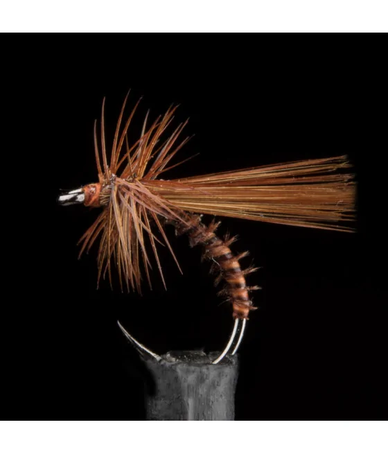 Rusty Brown Condor Caddis Fly By Riversfly