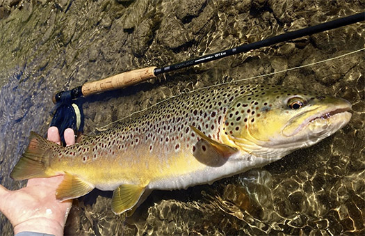 Cortland Competition MKII Euro Nymph Fly Rod